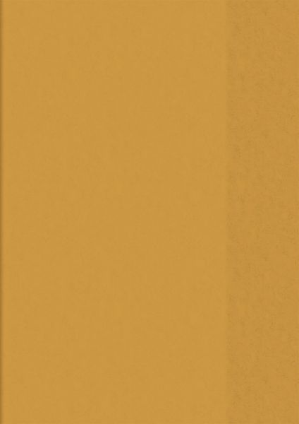 BRUNNEN 104050540 Hefthülle orange