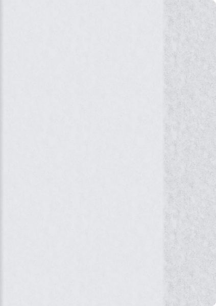 BRUNNEN 104054499 Hefthülle, A4, farblos