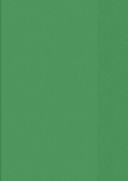 BRUNNEN 104050450 Hefthülle grün